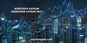 Agrotech Katılım Endeksine Uygun mu?