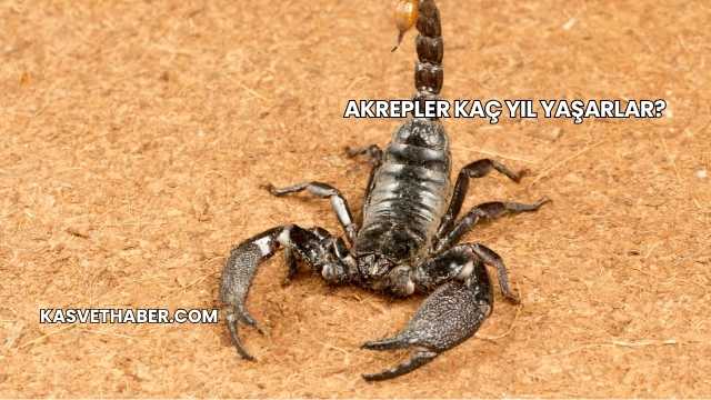 Akrepler Kaç Yıl Yaşarlar?