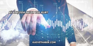 Bilançoda Neler Yer Alır?