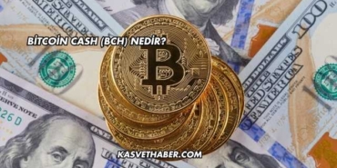 Bitcoin Cash (BCH) Nedir?
