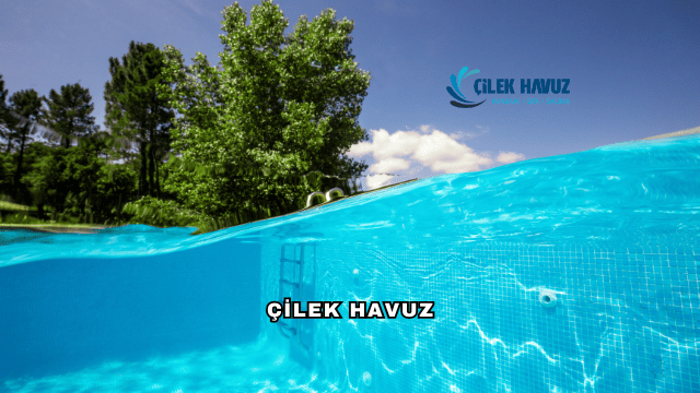 Çilek Havuz Hakkında