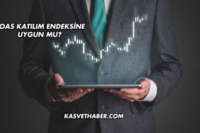 DOAS Katılım Endeksine Uygun mu?