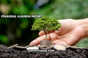 Finansal Ajanda Nedir?
