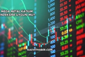 Mega Metal Katılım Endeksine Uygun mu?