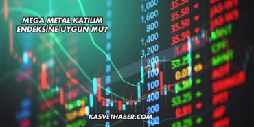 Mega Metal Katılım Endeksine Uygun mu?
