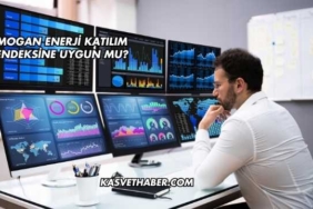 Mogan Enerji Katılım Endeksine Uygun mu?