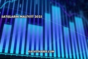 Satışların Maliyeti 2025