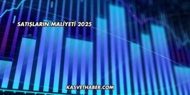 Satışların Maliyeti 2025