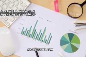 Şeker Yatırım Katılım Endeksine Uygun mu?