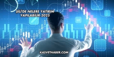 Şili'de Nelere Yatırım Yapılabilir 2025
