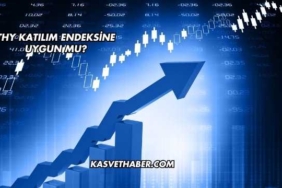 THY Katılım Endeksine Uygun mu?