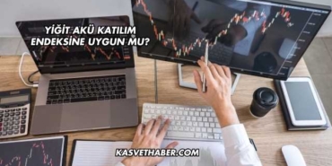 Yiğit Akü Katılım Endeksine Uygun mu?