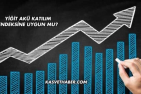 Yiğit Akü Katılım Endeksine Uygun mu?