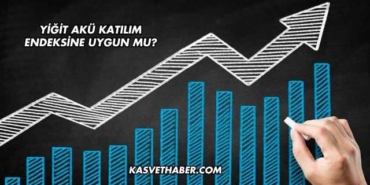 Yiğit Akü Katılım Endeksine Uygun mu?
