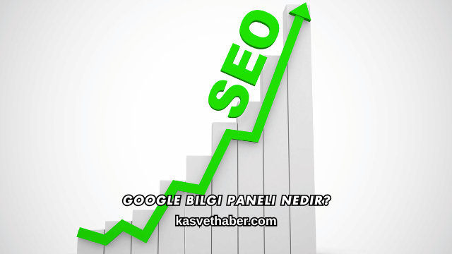 Google Bilgi Paneli Nedir?