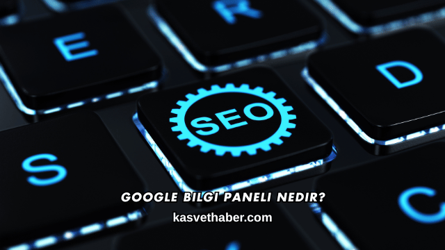 Google Bilgi Paneli Nedir?